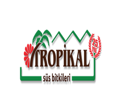 Tropikal Süs Bitkileri