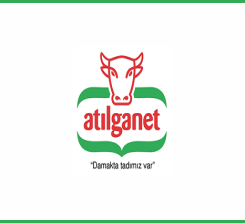 Atılganet
